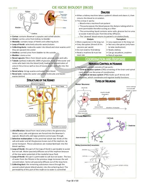 cie igcse biology complete notes