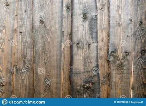 beautiful wood texture stock photo image  timber
