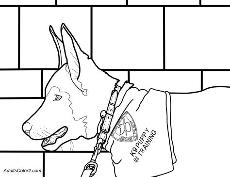 service dogs coloring pages working dogs crucial canines