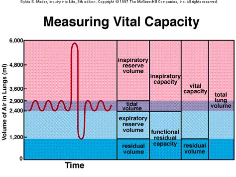 measure forced vital capacity slideshare