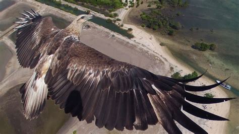Amazing Aerial Photos Taken From Drones