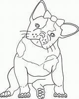 Bulldog Coloring French Pages Printable Dog Bull Drawing Line American Cute Kids Color Template Clipart Getdrawings Print Drawings Animals Popular sketch template