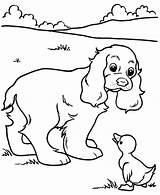 Pages Printable Coloring Puppy Dog Sheepdog English Old Print Printables Getcolorings Duck Kids Color sketch template