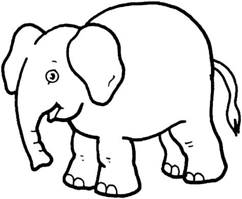 elephant coloring page  coloring pages