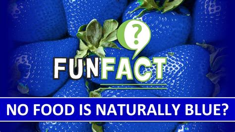 fun fact no food is naturally blue there are naturally blue foods