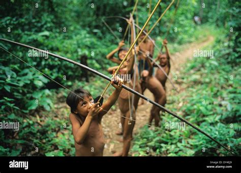 Yanomami Arrow Fotografías E Imágenes De Alta Resolución Alamy
