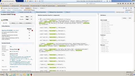 symantec data loss prevention  crowd