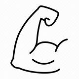 Bicep Icon Arm Bodybuilding Muscles Strong Sport Power Icons Fitness 512px sketch template