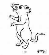 Rat Coloring Pages Rats Cute Rod Cartoon Kangaroo Getcolorings Colouring Coloringbay Printable Click Color Lab sketch template