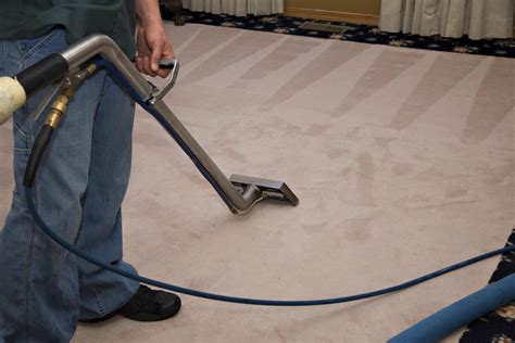 los angeles carpet cleaning steam green carpet cleaning