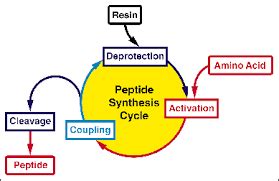 tips     performing solid phase pepetide