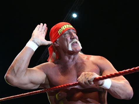 Hulk Hogan Wrestling Champion Wwe Terry Gene Bollea 16x12 Print Poster