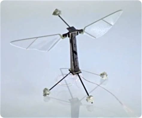 tiny flying insect drones   reality   video  controlled flight naturalnewscom