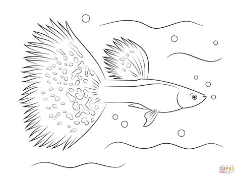 guppy coloring page  printable coloring pages