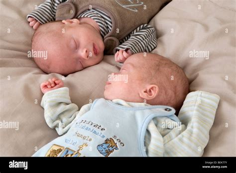 premature babies identical twin boys sleeping stock photo alamy