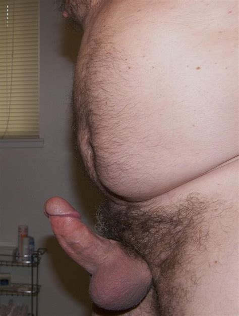 chubby bear cock