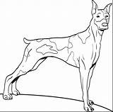 Coloring Pages Mastiff sketch template