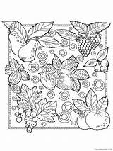 Zentangle Fruit sketch template