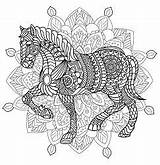 Mandala Complex Elegant Horse Ashanti African Pages Coloring Patterns sketch template