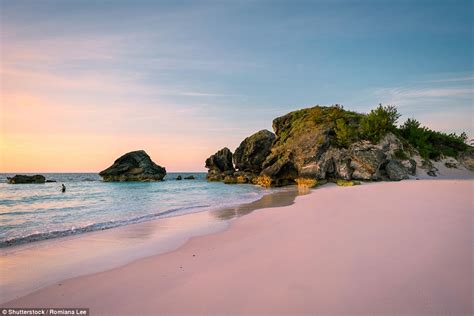 discovering bermudas pink sand beaches coral reefs   fashioned english charm daily