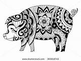 Pig Zentangle Coloring Pages Adult Drawing Colouring Ornamental Animal Shutterstock sketch template