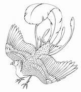 Phoenix Coloring Potter Harry Pages Dragon Bird Print Ausmalbilder Printable Coloringtop Ausmalen Adults Hippogriff Phönix Baby Fabelwesen Sheets Colouring Color sketch template