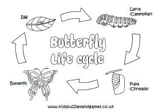 butterfly life cycle colouring page kids puzzles  games