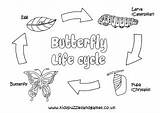 Butterfly Cycle Life Colouring Sheets Coloring Butterflies Kids sketch template