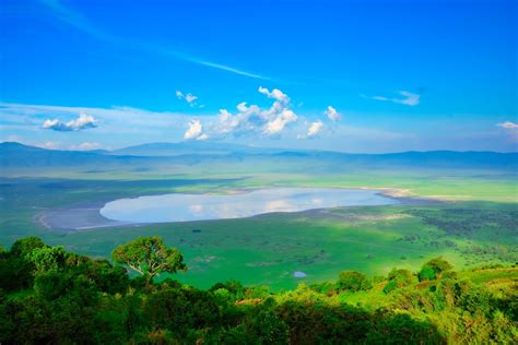 expect   ngorongoro crater safari ultimate guide