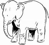 Elefante Elephants Pintarcolorir Tudodesenhos Filler Sevimli Clipartbest sketch template