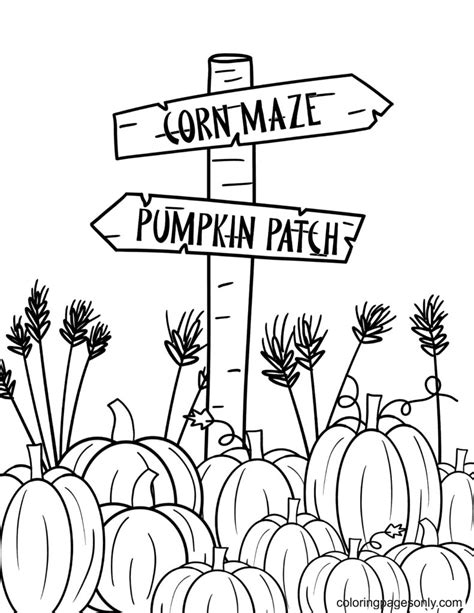 pumpkin patch coloring pages  printable