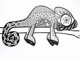 Chameleon Zentangle Project Step sketch template