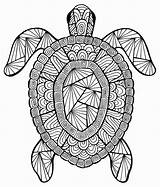Coloring Pages Hard Animals Girls Turtle sketch template