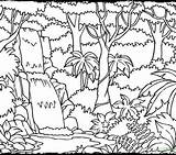 Rainforest Drawing Jungle Coloring Kids Pages Layers Printable Endangered Species Getcolorings Paintingvalley Amazon Color Drawings Getdrawings Print sketch template