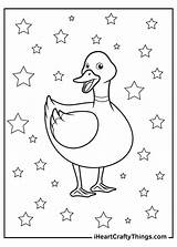 Ducks Iheartcraftythings sketch template