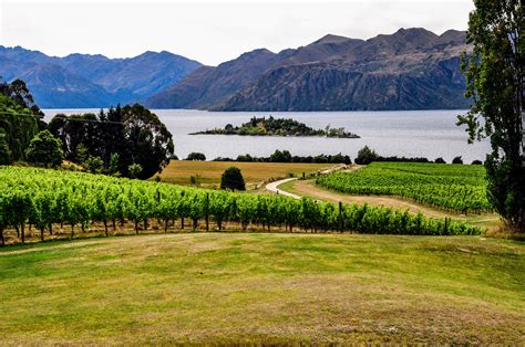 wine drive  top wineries  central otago