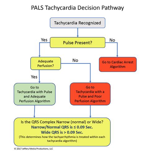 Pals Tachycardia Algorithm Learn And Master Pals