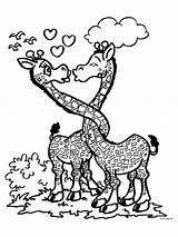 Malvorlagen Verliefd Giraffen Liefde Kleurplaten Liebes Amoureux Kleurplaat Giraffe Verliefde Animaatjes Colorier Titel sketch template