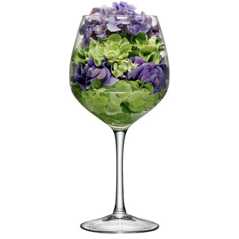 Lsa Midi Wine Glass 134oz 3 8ltr Giant Glassware Novelty Wine