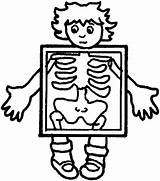 Human Body Coloring Pages Getcolorings sketch template
