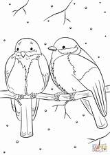 Winter Coloring Birds Pages Bird Drawing Printable Christmas Colouring Feeder Vogel Kolorowanka Vögel Supercoloring Tiere Printables Der Ausmalbilder Kinder Entitlementtrap sketch template