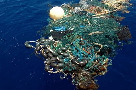 plastic water bottle island pacific ocean  pictures