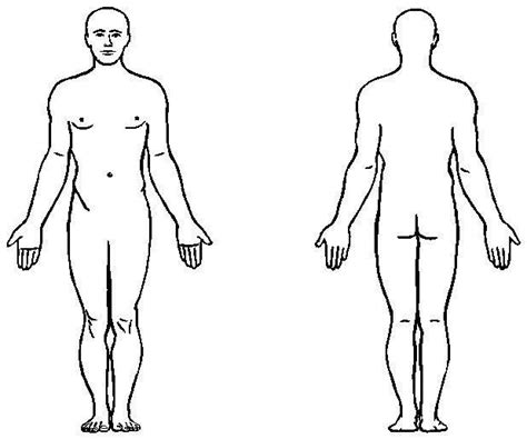 outline  human body clipart panda  clipart images human