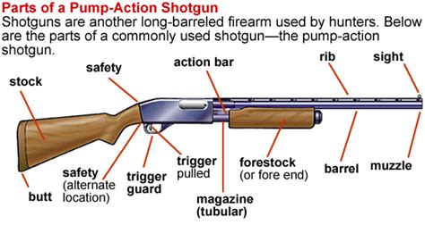 gun parts google search trap shooting shooting sports safety stock