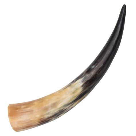 medieval animal drinking horn real animal horn panther wholesale
