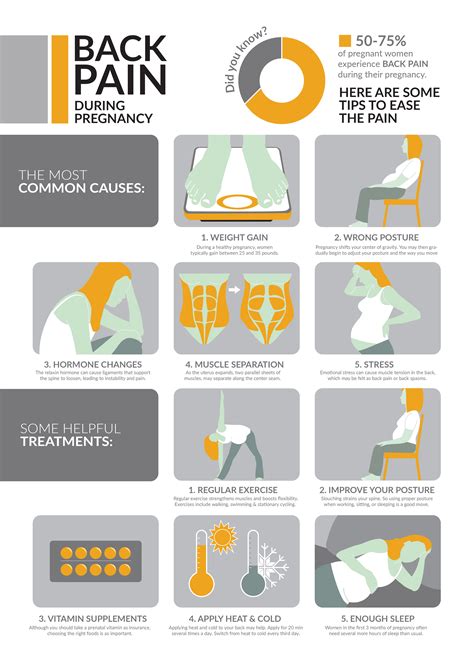 Infographic Causes And Treatments Of Back Pain During Pregnancy