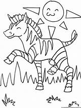 Coloring Zebra Pages Zoo Printable Kids sketch template