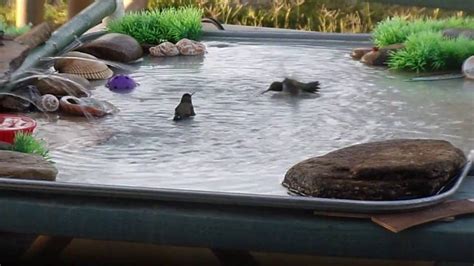 Homemade Bird Bath Youtube