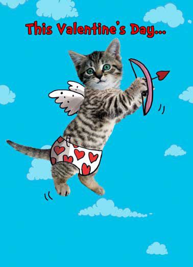 valentine s day cards cats funny cards free postage included