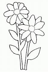 Coloring Daisy Flower Pages Popular sketch template